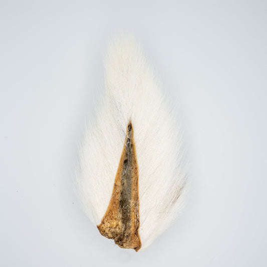 Figure Eats A Grade Bucktail